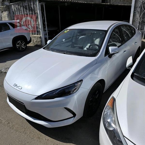 بی وای دی Qin Plus 2025  بۆ فرۆشتن لە عێراق -  بەغداد